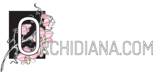 Orchidiana.com